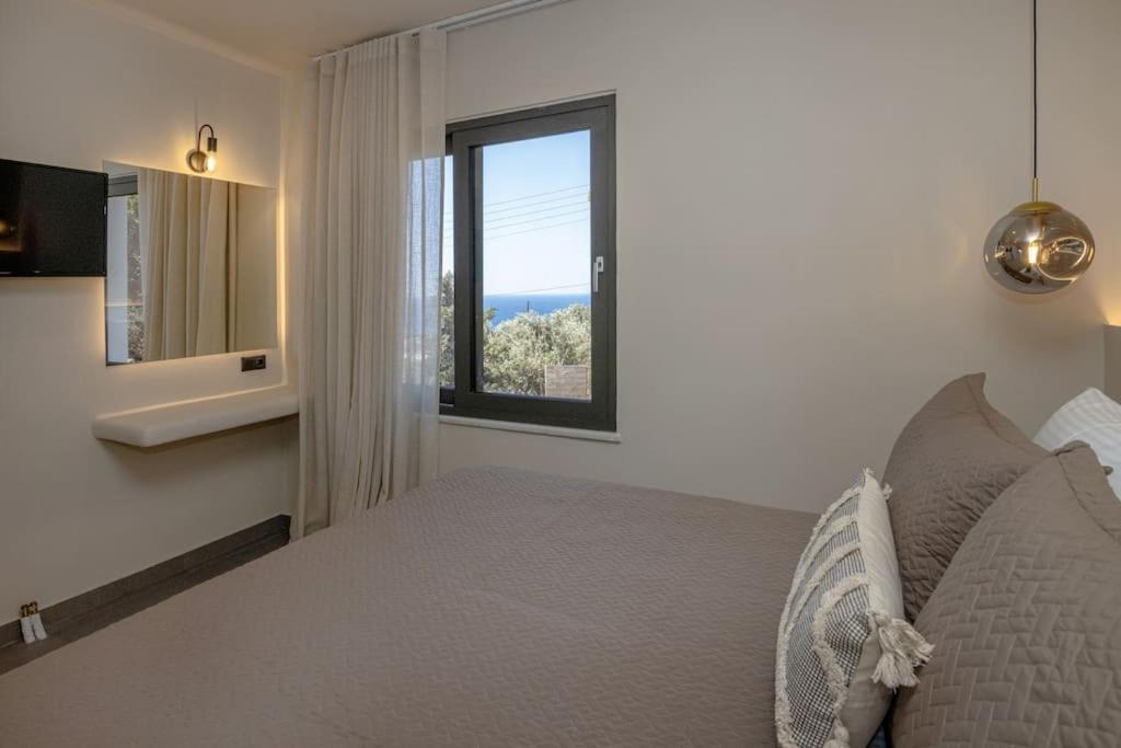 Pearl Suites And Villa Tínos Kültér fotó
